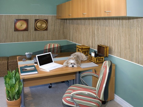 Квартира под офис